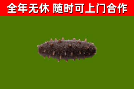 花垣烟酒回收干海参.jpg